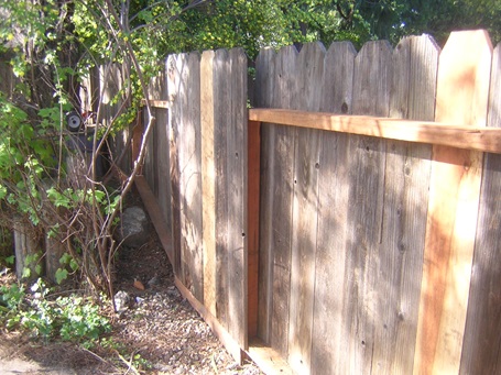 A fence repair continued