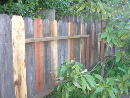A fence repair continued