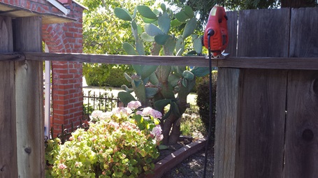 During gate cut continued