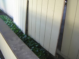 Wood siding repair
