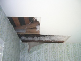 Hole in plaster