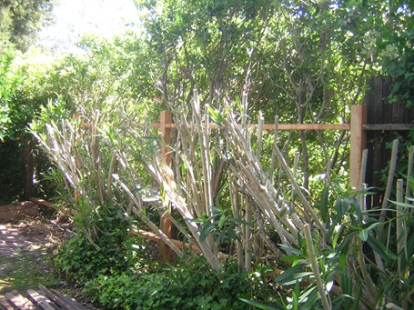 Reconnect fence post