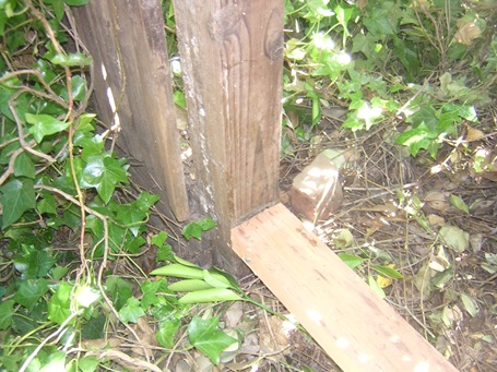 Reconnect fence post continued