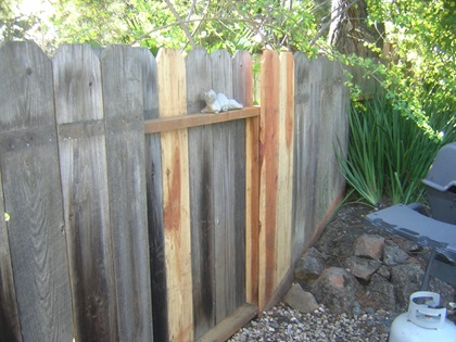 A repaired fence