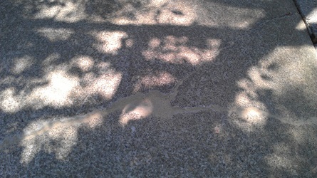 concrete-driveway-repair